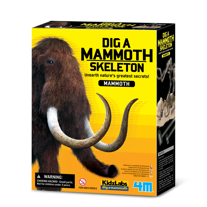 Dig A Mammoth Skeleton