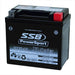 Motorcycle motorbike battery (YTX5L-BS) AGM 12V 6AH 195CCA BY SSB