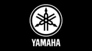 *GENUINE YAMAHA CRANKCASE CENTER O RING YZ250 00-16