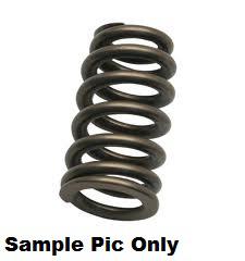 EXHAUST VALVE SPRING PSYCHIC HEAVY DUTY